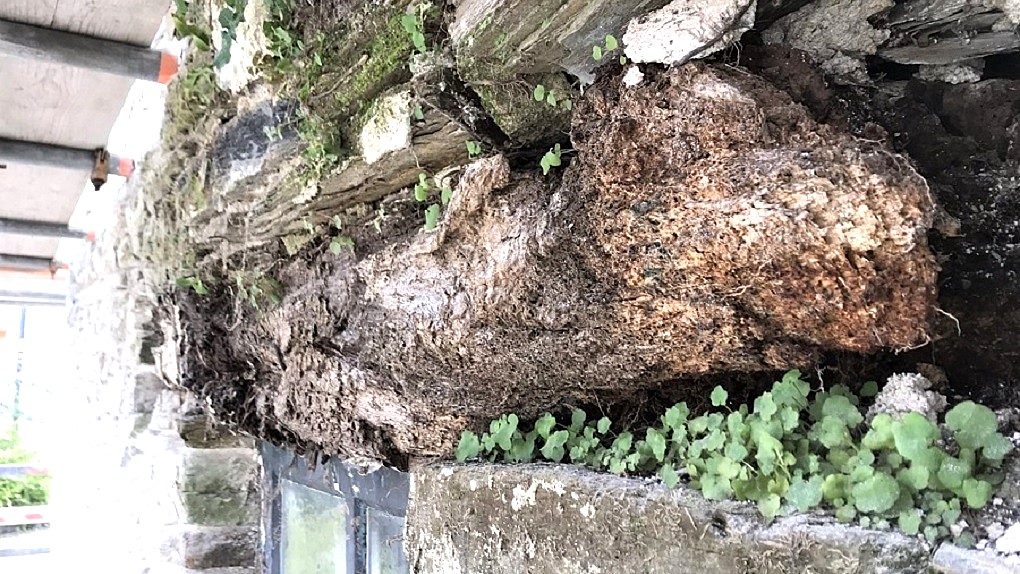 Lintel Replacements Cornwall Before and After