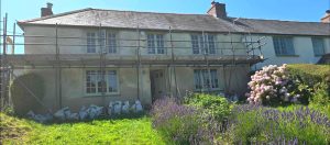 043 Lime Rendering Truro